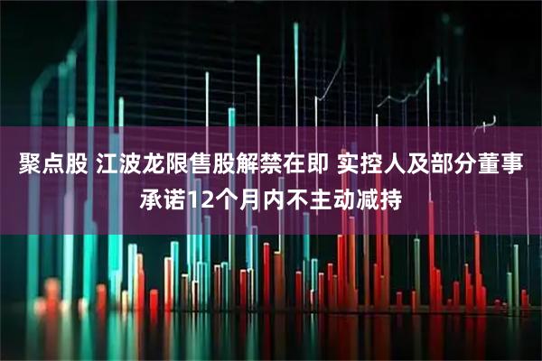 聚点股 江波龙限售股解禁在即 实控人及部分董事承诺12个月内不主动减持
