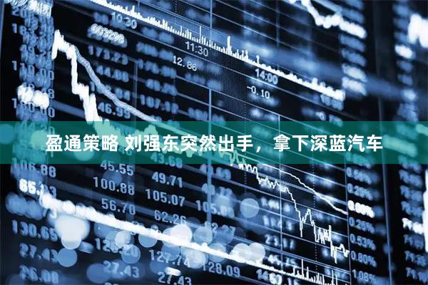 盈通策略 刘强东突然出手，拿下深蓝汽车